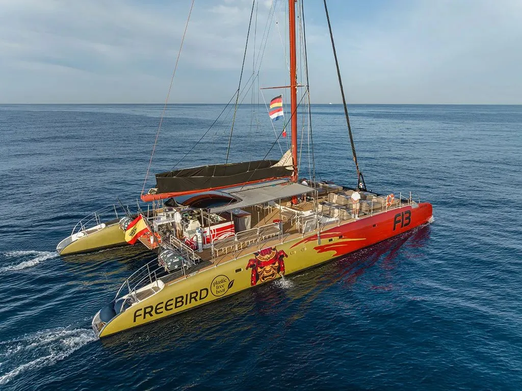Catamaran Whale Watching — 3h · Easy · Tenerife