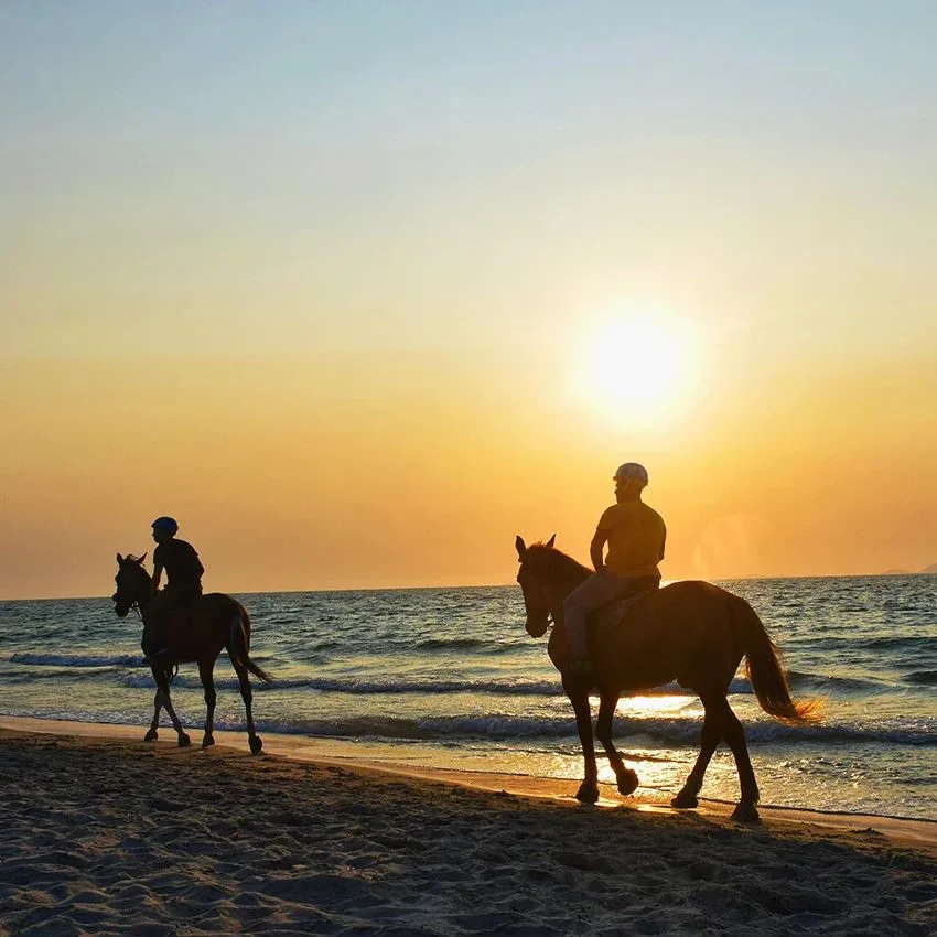 Horse riding through the natural landscape of Tenerife