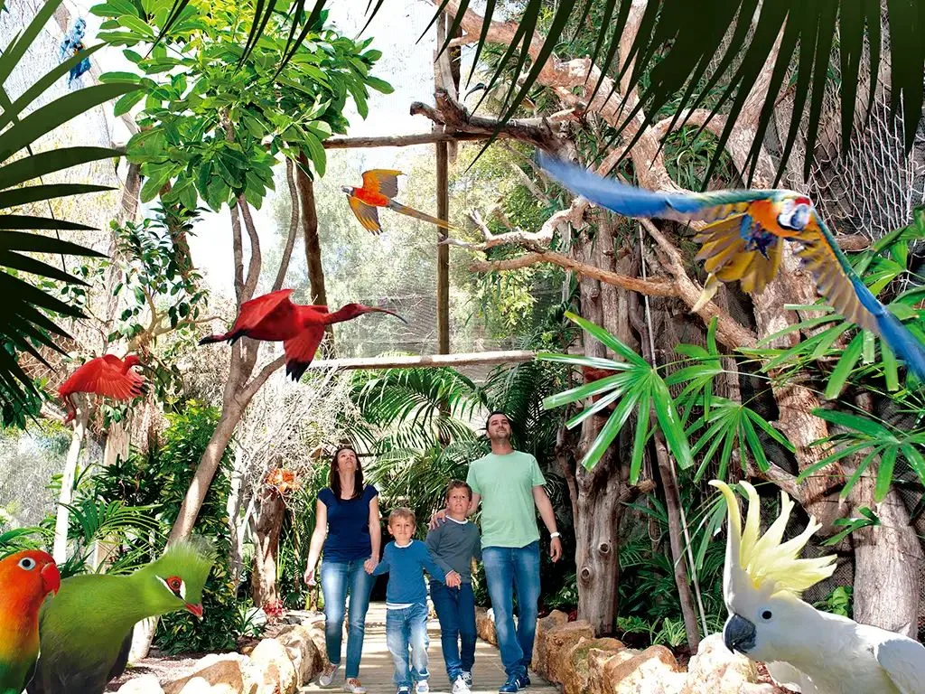 Exotic animals at Jungle Park in Tenerife