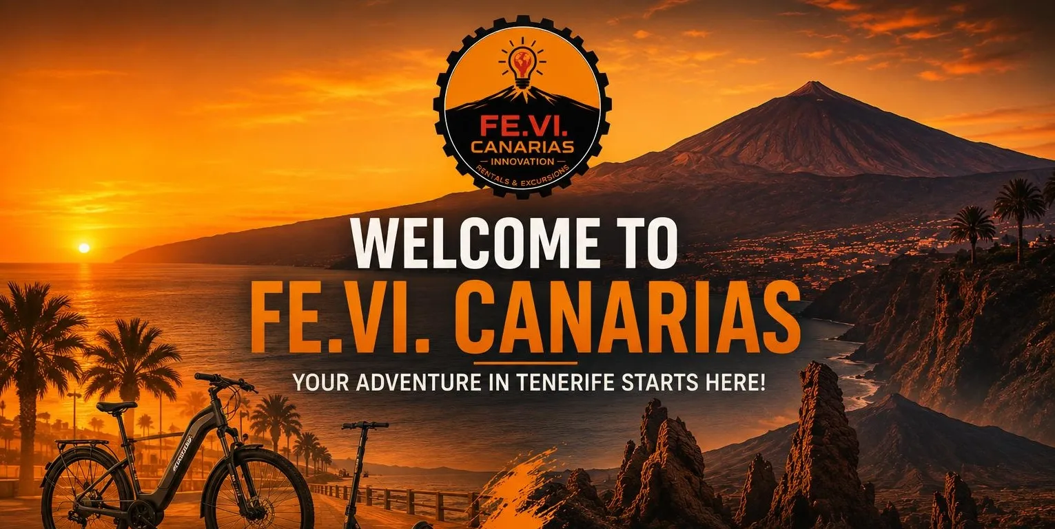 Welcome to Fe.Vi. Canarias